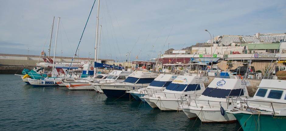 Porto sportivo di Puerto Rico Marine e porti sportivi a Gran Canaria