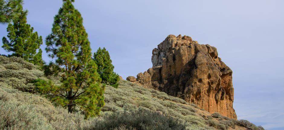 Roque Saucillo + Osservazione delle stelle a Gran Canaria