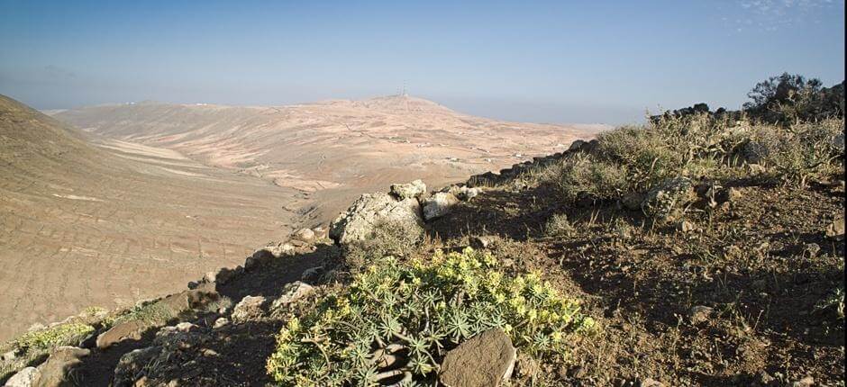 Vallebrón + Sentieri di Fuerteventura