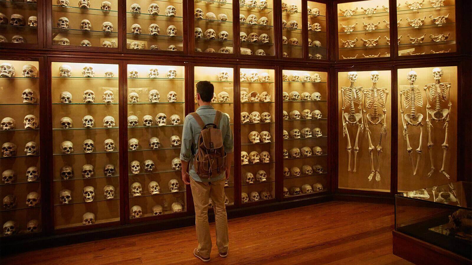 Sala dei Teschi del Museo delle Canarie, Gran Canaria.