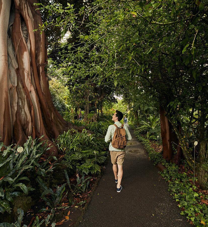 Giardino Botanico di Puerto de La Cruz, Tenerife.