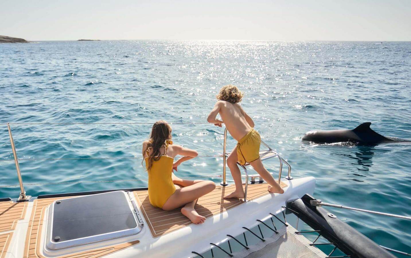 Due persone in barca a vela che osservano i delfini in acque cristalline durante un'escursione in mare in una giornata di sole.