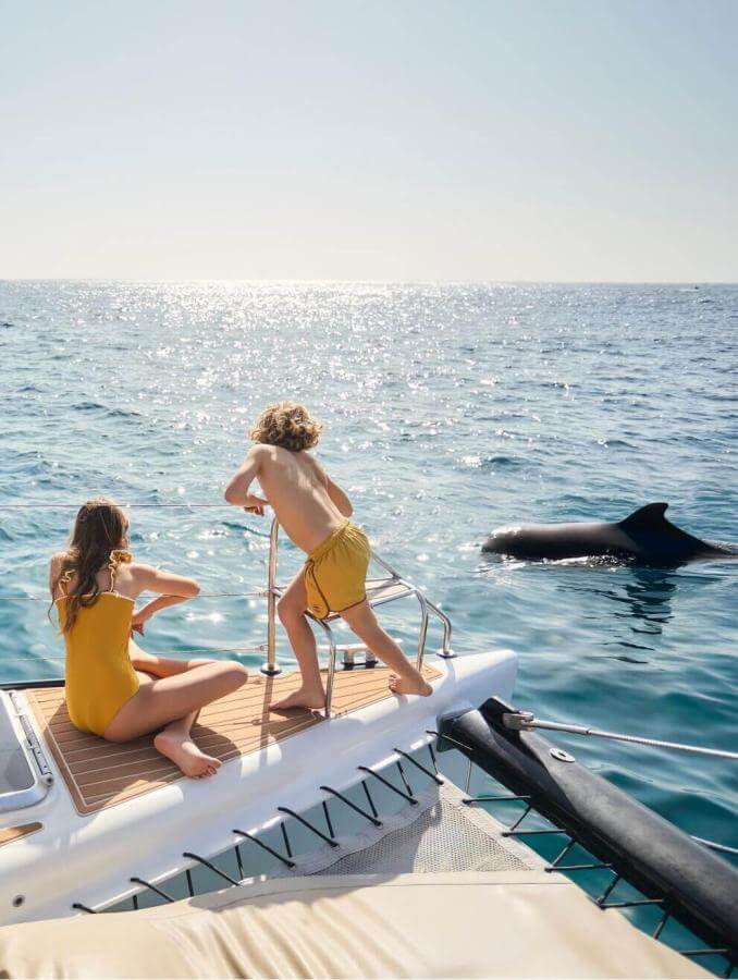 Due persone in barca a vela che osservano i delfini in acque cristalline durante un'escursione in mare in una giornata di sole.