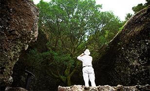 San Andrés y árbol Garoé  y mirador de Jinama